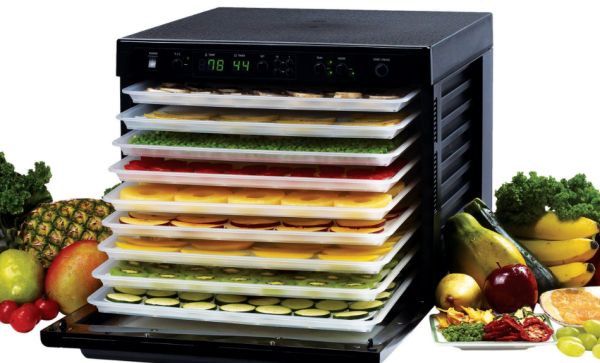 food-dehydrator