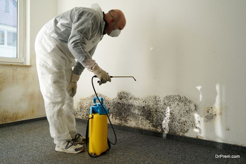 Removing Mold