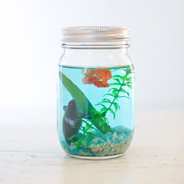 Mason jar 