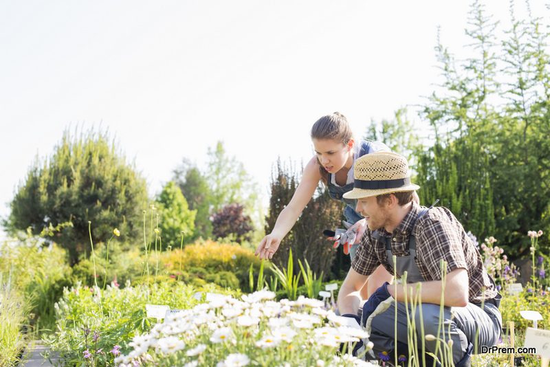 Transform-Your-Garden