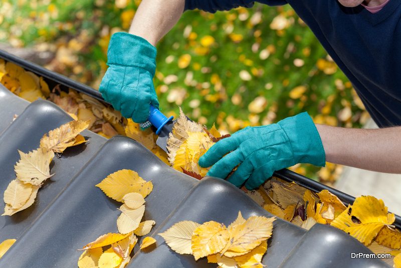 roof-cleaning