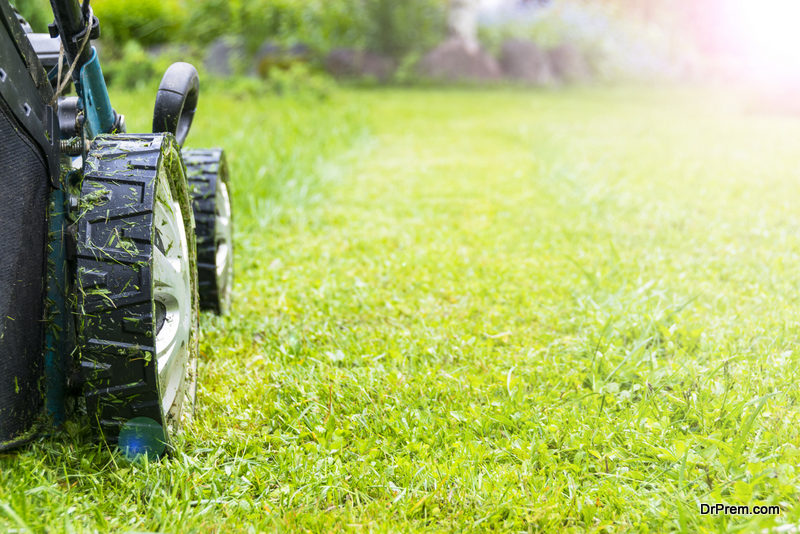 Mow Newly Sodded Grass