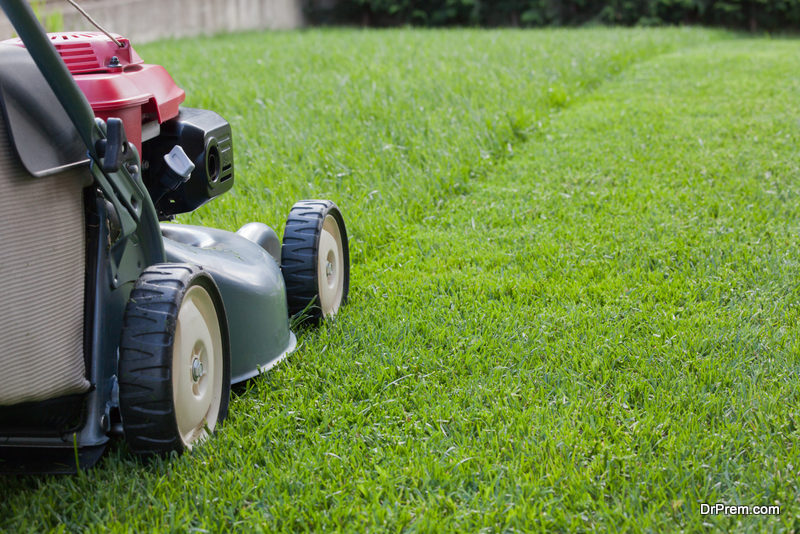 Mow Newly Sodded Grass