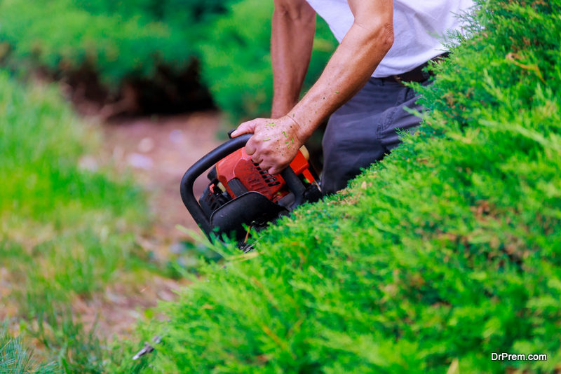 Landscaping