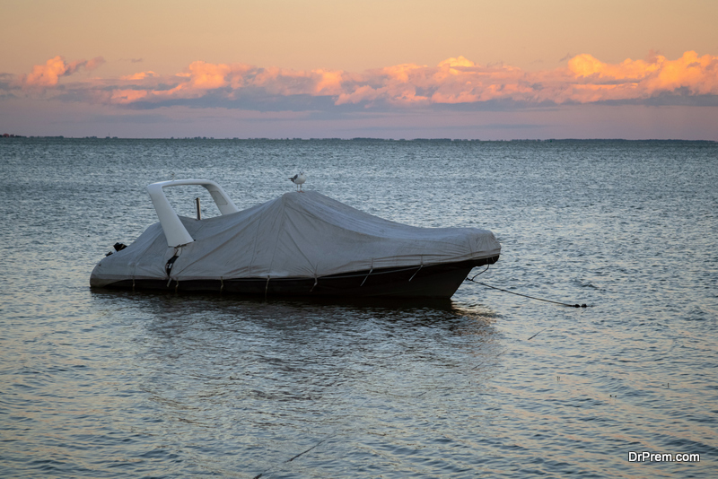 Premium Boat Cover