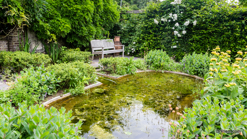 Bench-near-a-Pond.