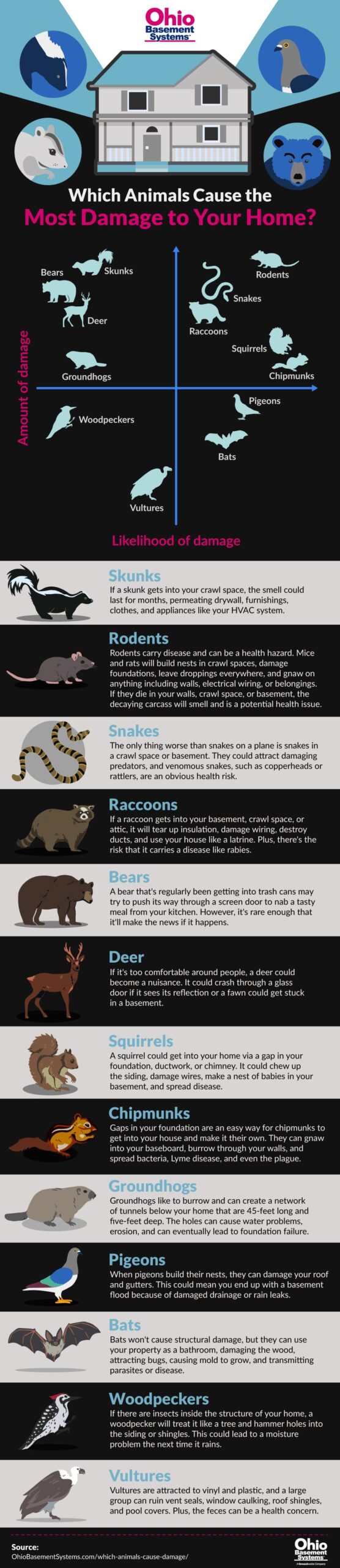 which-animals-cause-damage-infographic-ohio-basement-systems