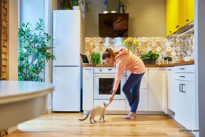 Tricks To Help You Find A Pet-Friendly Apartment